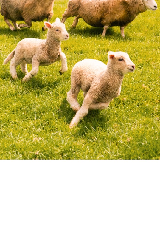 图片[46]-Miho Watanabe 渡邉美穂 - 1st Photobook Hidamari 阳光 (2019-01-17) - 在线免费观看-阅图吧