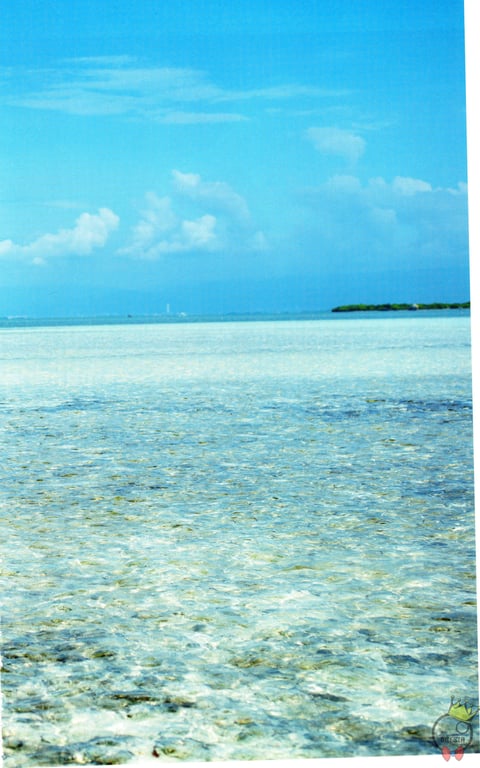 图片[7]-#AKB48 团队8 大西桃香1st写真集 梦的实现方法。 - 全本免费在线观看-阅图吧