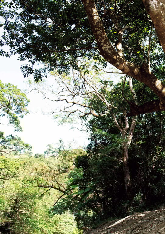 图片[65]-#Asuna Kawai 河合明日菜 – 1.618 (2020-02-19) - 全本免费在线观看-阅图吧