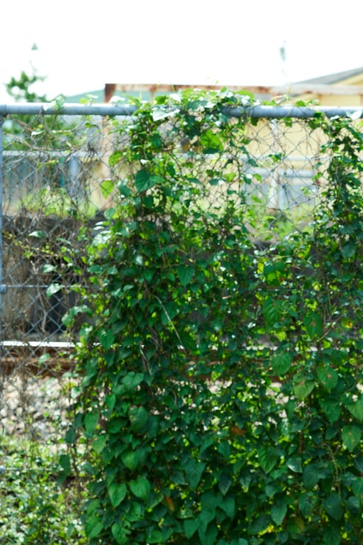 图片[66]-#Nanako Kurosaki 黑嵜菜菜子 – 18岁、原石、闪耀 (2021-11-19) - 全本免费在线观看-阅图吧