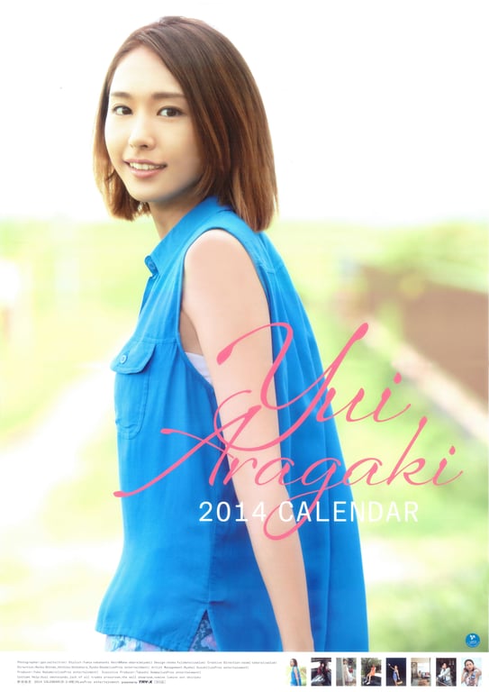 Yui Aragaki 新垣结衣 - Yui Aragaki 2014 Calendar (2013.11.06) (8P)-阅图吧