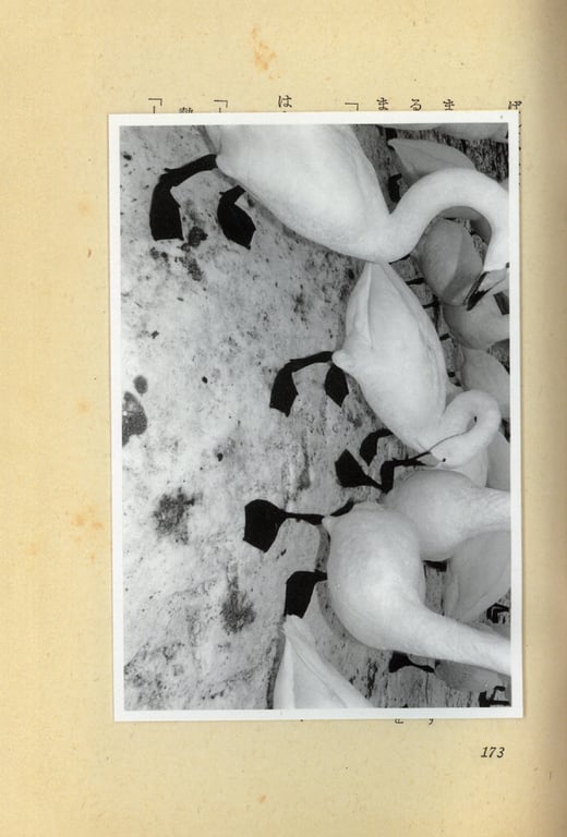 图片[14]-#(月刊シリーズ 076) – 月刊076 奥贯薰 - 全本免费在线观看-阅图吧