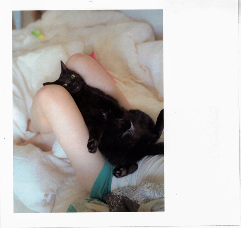 图片[25]-#青山裕企 Photobook 26sets\【青山裕企】猫与大腿 - 全本免费在线观看-阅图吧