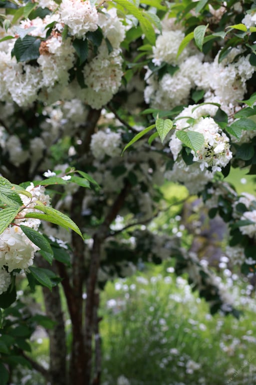 图片[56]-#8woman Next Stage 吉高宁宁×五十岚夏 martini 周刊Post Digital写真集 - 全本免费在线观看-阅图吧