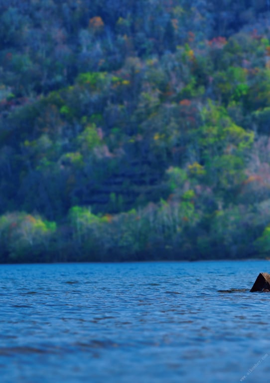 图片[88]-#Mizuto Sakura 水户樱 “Ecstatic” (2019.08.23) - 全本免费在线观看-阅图吧