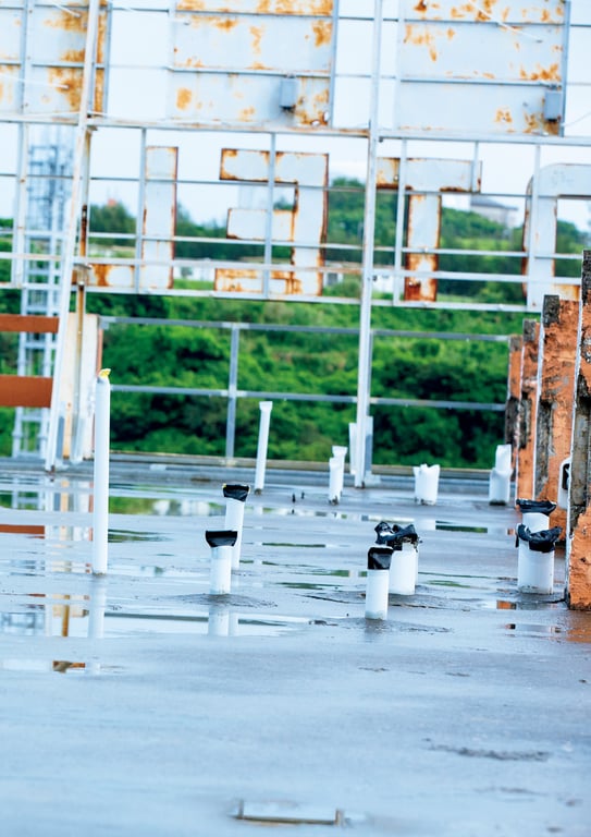 图片[75]-#Fuka Koshiba 小芝风花 写真集 F (2019.01.27) - 全本免费在线观看-阅图吧