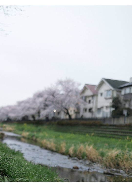 图片[106]-被夺走 小仓七海 - 在线免费观看-阅图吧