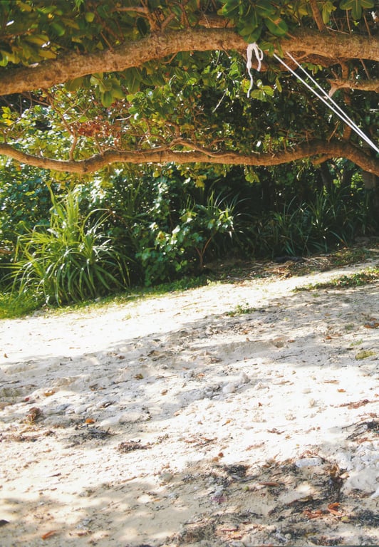 图片[52]-#小野惠令奈 – 傲娇！~归来的惠惠(18)~ (SR) - 全本免费在线观看-阅图吧