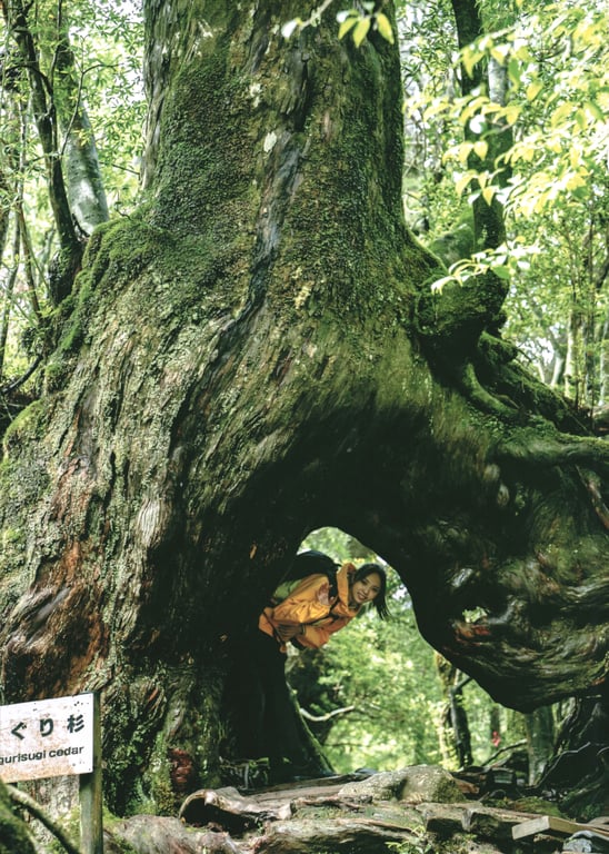 图片[34]-#Yui Kobayashi 小林由依 – Unexpectedness 意外性 (2022-10-04) - 全本免费在线观看-阅图吧