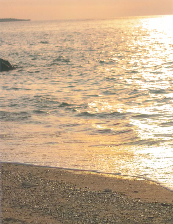 图片[145]-#新井爱瞳1st写真集『Seventeen’s Blue』 - 全本免费在线观看-阅图吧