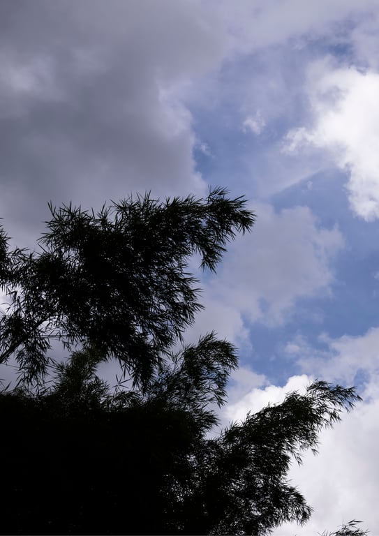 图片[146]-#白間美瑠写真集 MERCI Another Edition [side A] - 全本免费在线观看-阅图吧