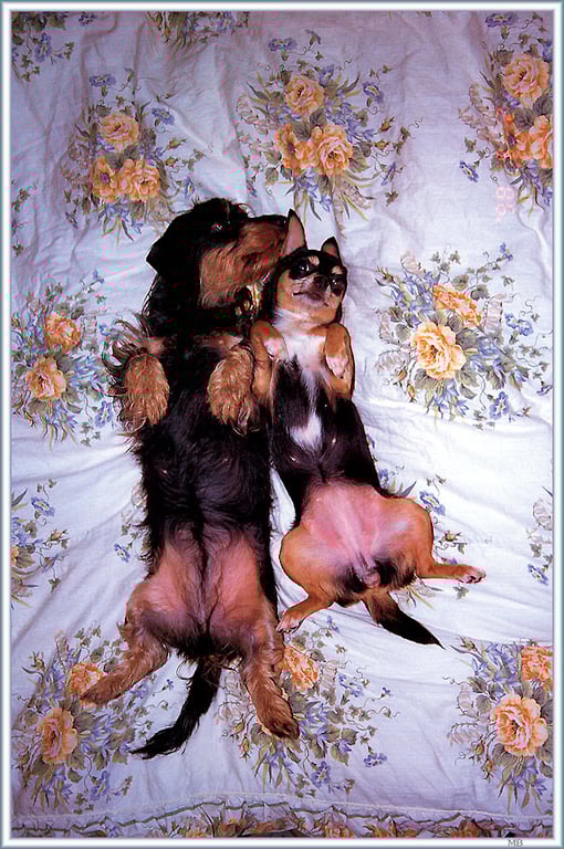 图片[39]-#(月刊シリーズ 002) – 月刊002 篠原涼子 - 全本免费在线观看-阅图吧