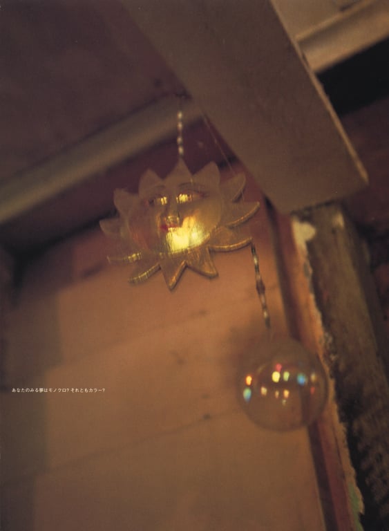 图片[99]-#相楽のり子 写真集 on／off - 全本免费在线观看-阅图吧