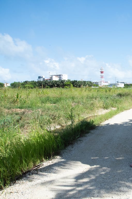 图片[84]-#奈月瀬名写真集『senaisｍ』オール未公開スペシャルＥｄｉｔｉｏｎ １００ページ超完全版 - 全本免费在线观看-阅图吧