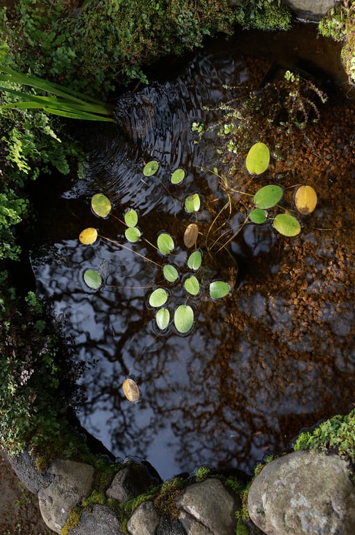 图片[85]-#8woman Next Stage 美乃铃×翼舞 mojito 週刊Post Digital写真集 - 全本免费在线观看-阅图吧