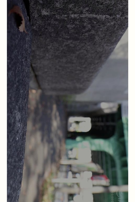 图片[39]-シェリーストーリー写真集 鈴木真夕 vol.1 wild beast - 在线免费观看-阅图吧