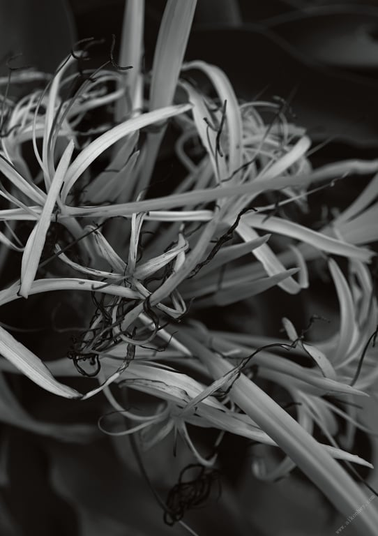 图片[64]-#【特典画像43张附】步利惠子 1st写真集数字完全版 SPHERE - 全本免费在线观看-阅图吧