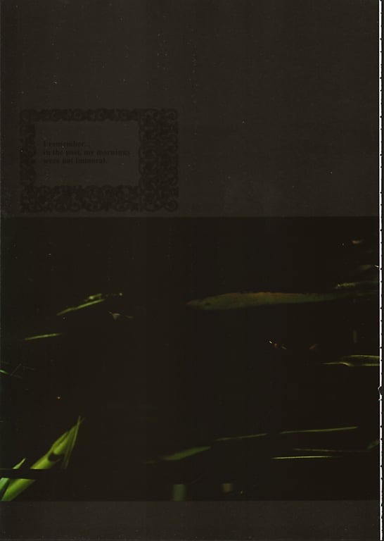 图片[78]-#(月刊系列 040) – 月刊040 安达祐实Special - 全本免费在线观看-阅图吧