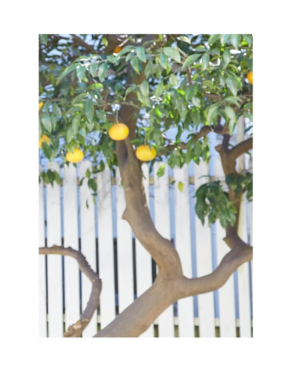 图片[140]-#2020.04.30 Nanaka Suwa 諏訪七夏 – Suwa once upon a time - 全本免费在线观看-阅图吧