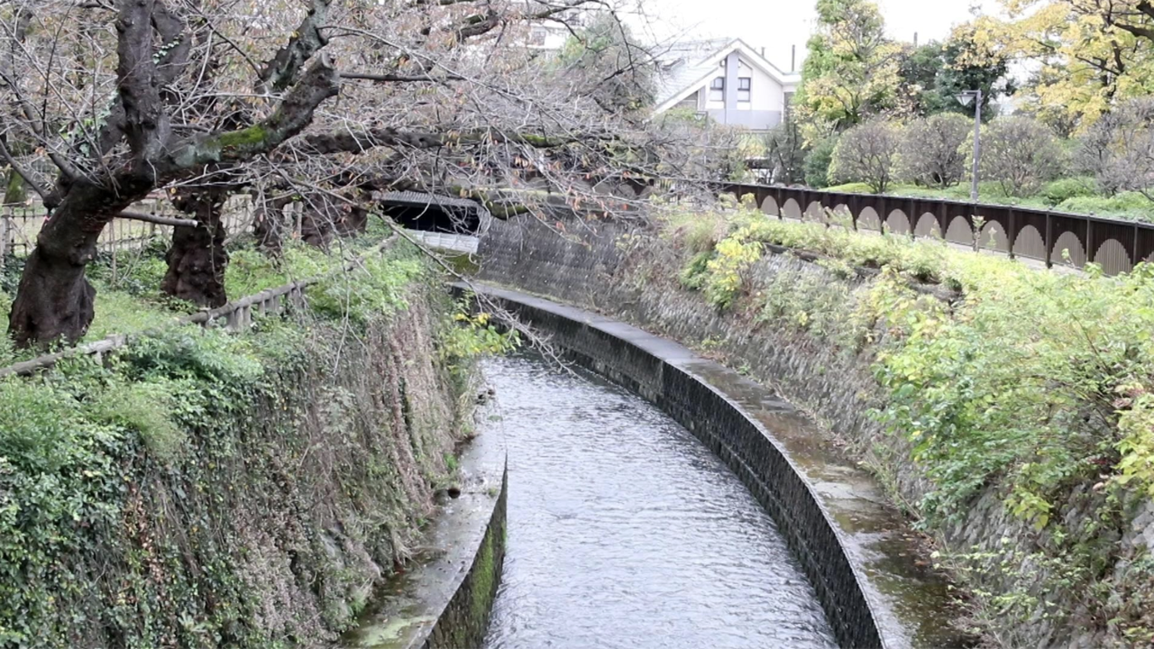 图片[4]-#美尻 Gcup 丽 美尻美女写真集 (HMJM) - 全本免费在线观看-阅图吧