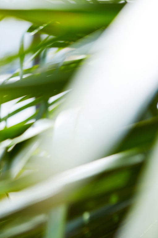 图片[35]-#新谷姬加 魅惑的Ｓ曲线 FRIDAY DIGITAL写真集 - 全本免费在线观看-阅图吧