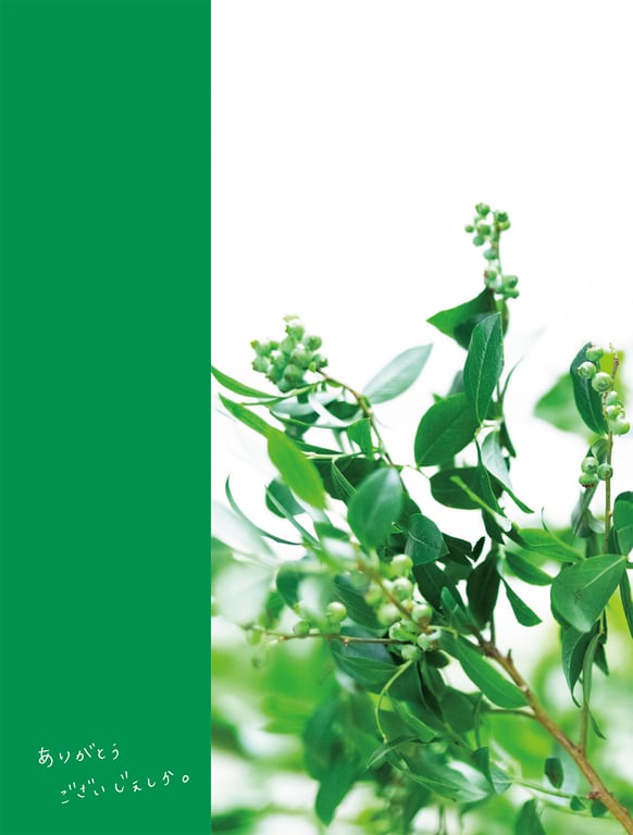 图片[112]-#Jessica Kizaki 希崎杰西卡 LAST Photobook – 谢谢你杰西卡。 (2019-09-14) NO watermark - 全本免费在线观看-阅图吧