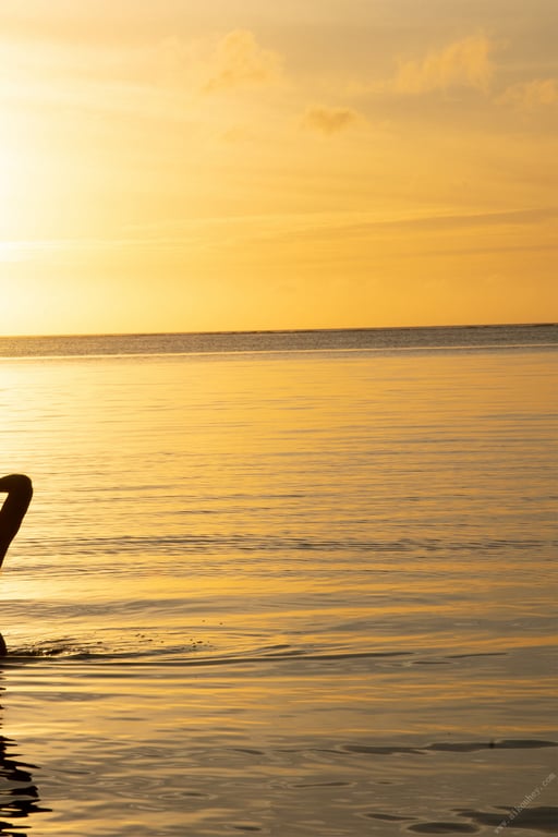 图片[120]-#CRAZY SUMMER 有贺美奈穗【裸体写真集】 - 全本免费在线观看-阅图吧