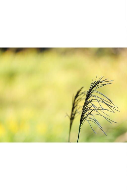 图片[65]-#幼小少女 天然美月【ヌード写真集】 - 全本免费在线观看-阅图吧