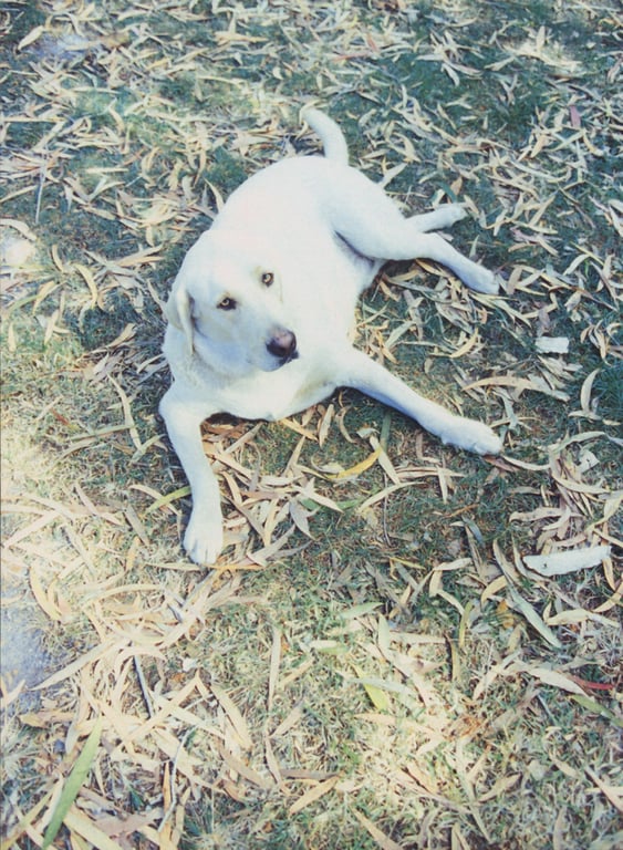 图片[27]-#相楽のり子 写真集 on／off - 全本免费在线观看-阅图吧