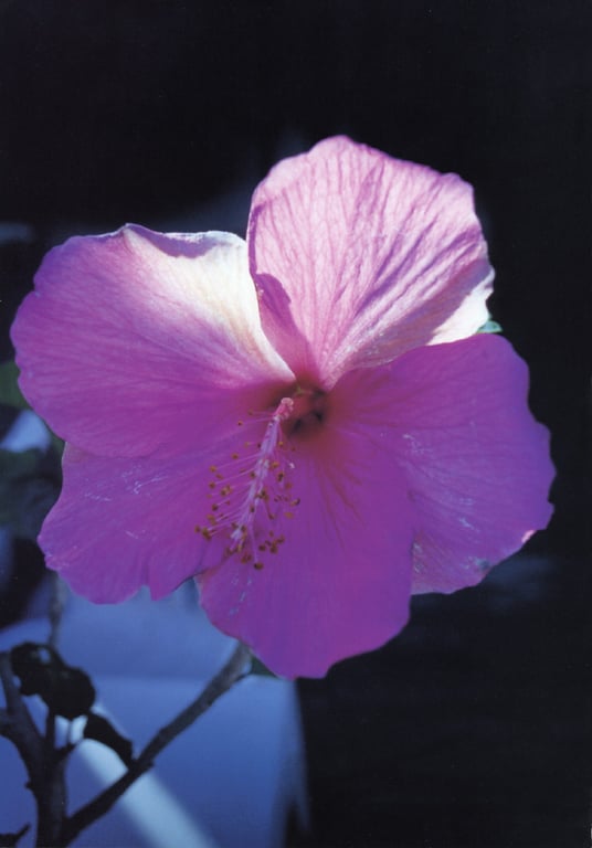 图片[67]-#釈由美子 – CHAOS - 全本免费在线观看-阅图吧