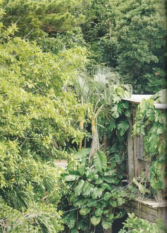 图片[186]-#日向坂46ファースト写真集 立ち漕ぎ - 全本免费在线观看-阅图吧