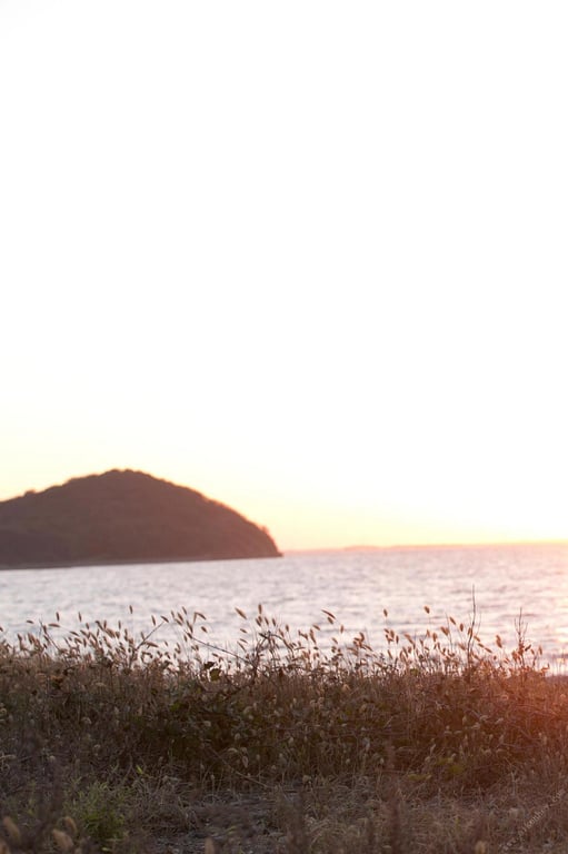 图片[38]-#Miu Nakamura 仲村美海 – Shedding your back 冲洗你的后背 (2018-11-26) - 全本免费在线观看-阅图吧