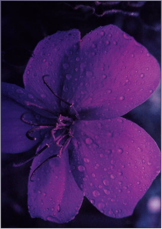 图片[26]-#(月刊系列 016) – 月刊016 奥菜惠 - 全本免费在线观看-阅图吧