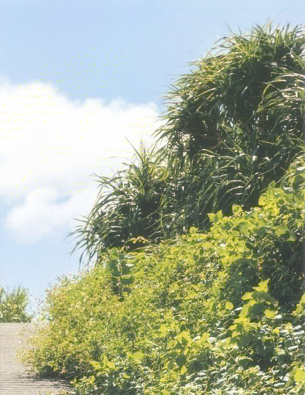 图片[76]-#新井愛瞳1st写真集『Seventeen’s Blue』 - 全本免费在线观看-阅图吧