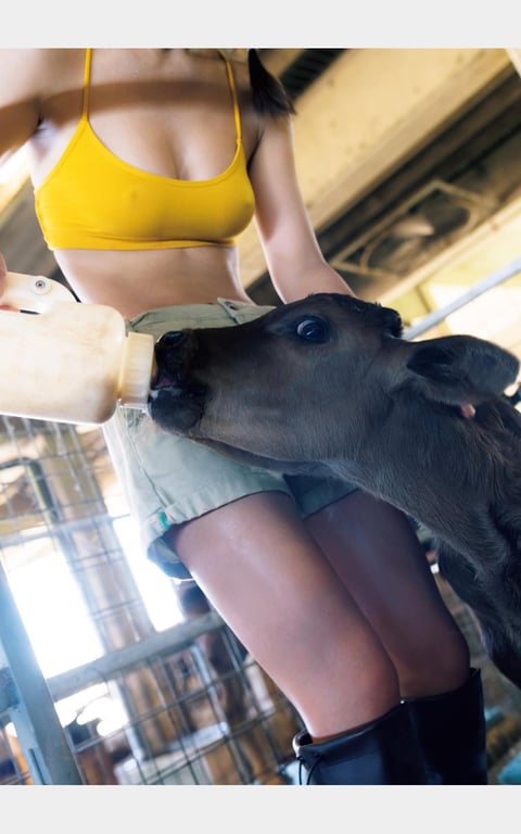 图片[83]-#Marina Nagasawa 长泽茉里奈 & Seera Nagasawa 长泽圣爱 – W pocchi (2022-11-18) - 全本免费在线观看-阅图吧