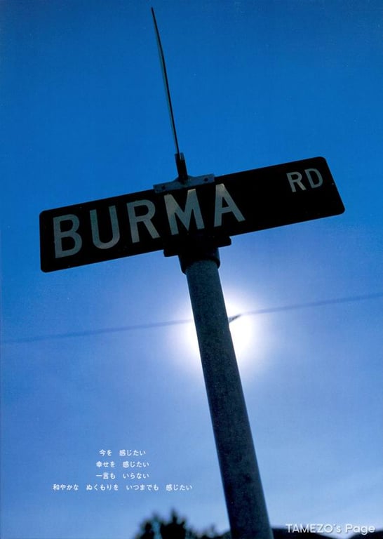 图片[118]-#乙叶 – LOVE STORY - 全本免费在线观看-阅图吧