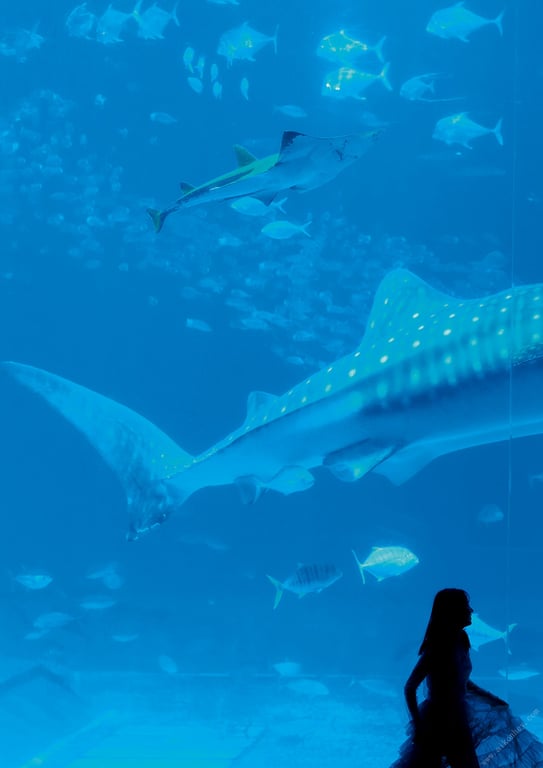 图片[17]-#【数字限定】志田音々 写真集 『 Best selection 』 (Wani Books 数字写真集) - 全本免费在线观看-阅图吧