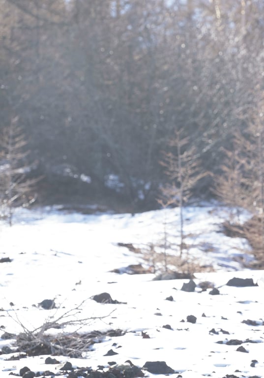 图片[75]-Digital原色美女图鉴 桃子女神公司 浑浊而又透明 - 在线免费观看-阅图吧