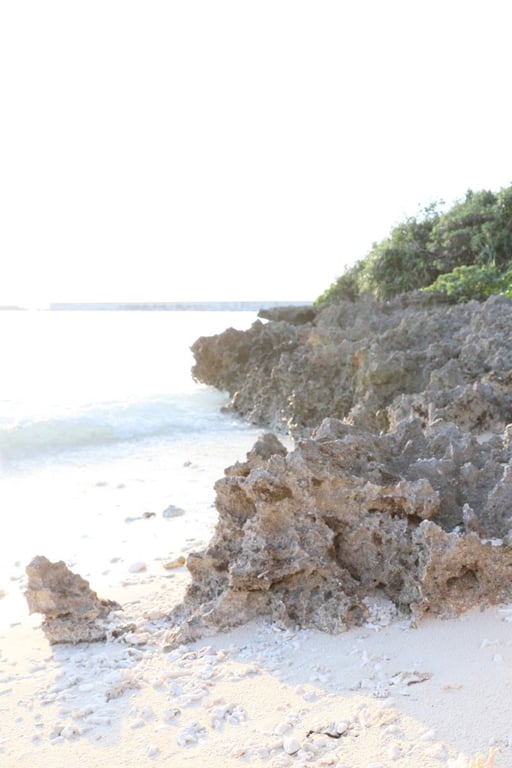 图片[60]-#Rio Okawa – rio-rhythm - 全本免费在线观看-阅图吧