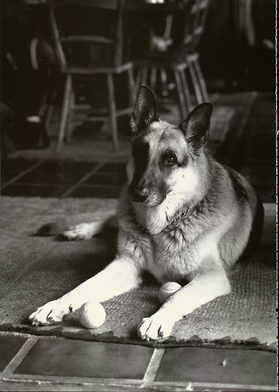 图片[98]-#(月刊系列 040) – 月刊040 安达祐实Special - 全本免费在线观看-阅图吧