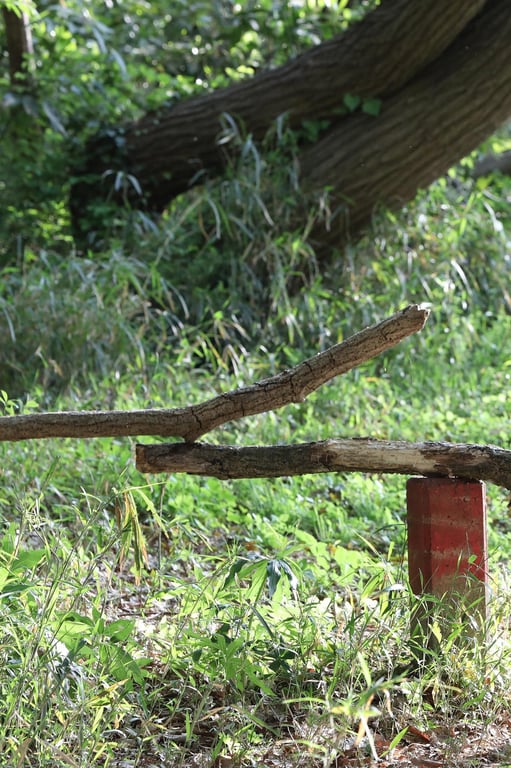 图片[74]-#Miu Nakamura 仲村美海 – Fairy (2018-08-06) - 全本免费在线观看-阅图吧