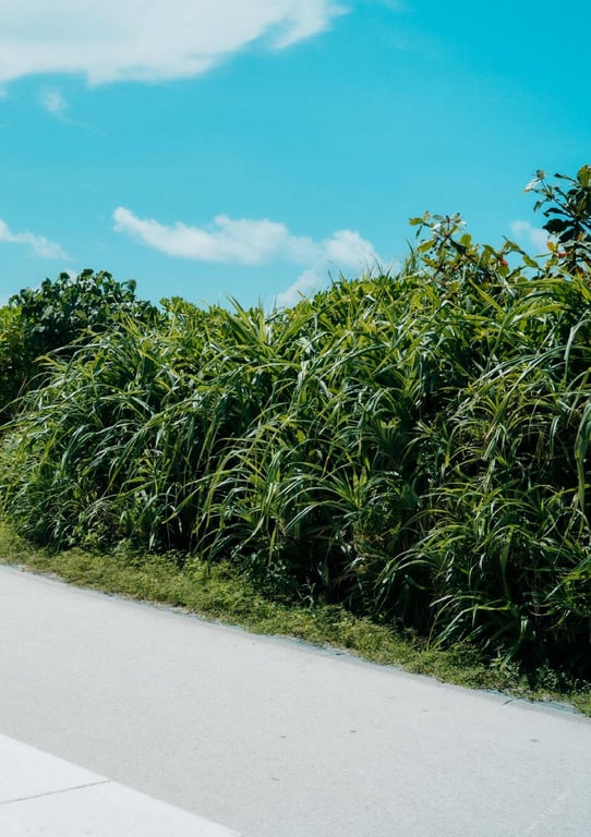 图片[57]-#大河桃 「Vibrant.」 冲绳写真集 (Wunder_Publishing_House.) - 全本免费在线观看-阅图吧