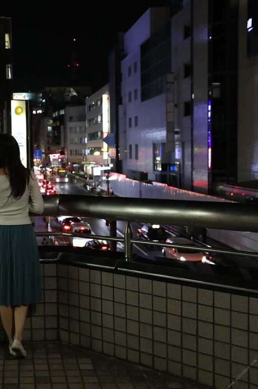 图片[43]-#Yuko Ono 小野夕子 – Shonan woman 湘南的女人 (2019-11-11) - 全本免费在线观看-阅图吧