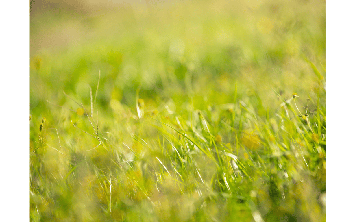 图片[53]-丹羽堇 オフィシャルヌード写真集 纯恋 - 在线免费观看-阅图吧
