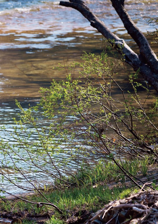 图片[3]-#Mizuto Sakura 水户樱 “Ecstatic” (2019.08.23) - 全本免费在线观看-阅图吧