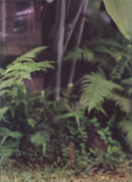 图片[85]-#Madoka Ozawa 小泽圆 Rope 2 (1997) - 全本免费在线观看-阅图吧