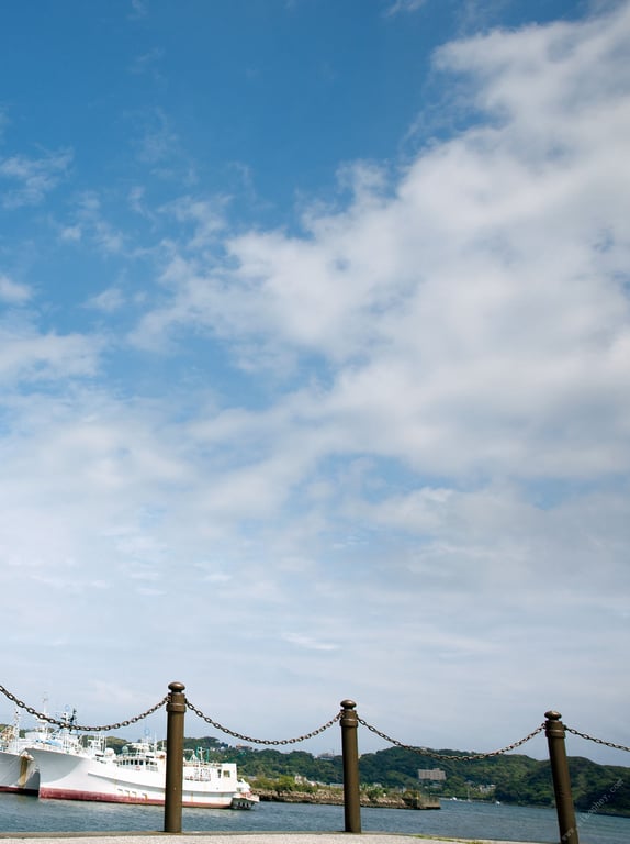 图片[2]-#新藤まなみ写真集『Ｑｕｅｅｎｓ』 - 全本免费在线观看-阅图吧