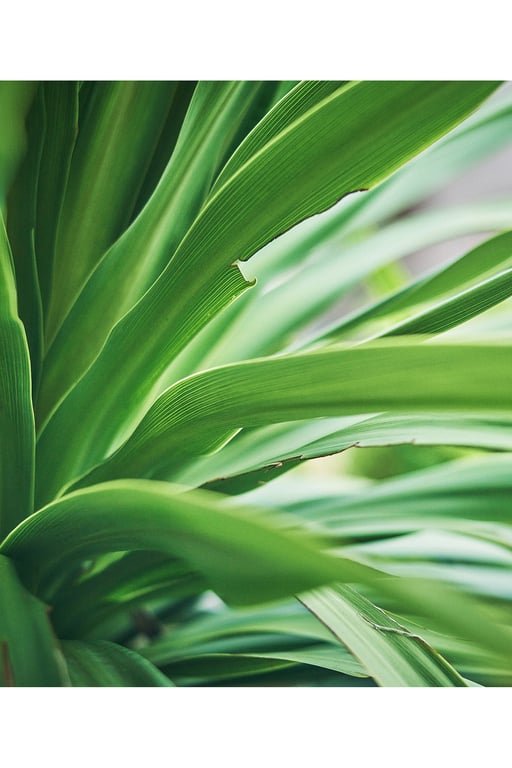 图片[87]-#Yui Furukawa 古河由衣 – Enchanted… 魅惑… (2023-01-27) - 全本免费在线观看-阅图吧