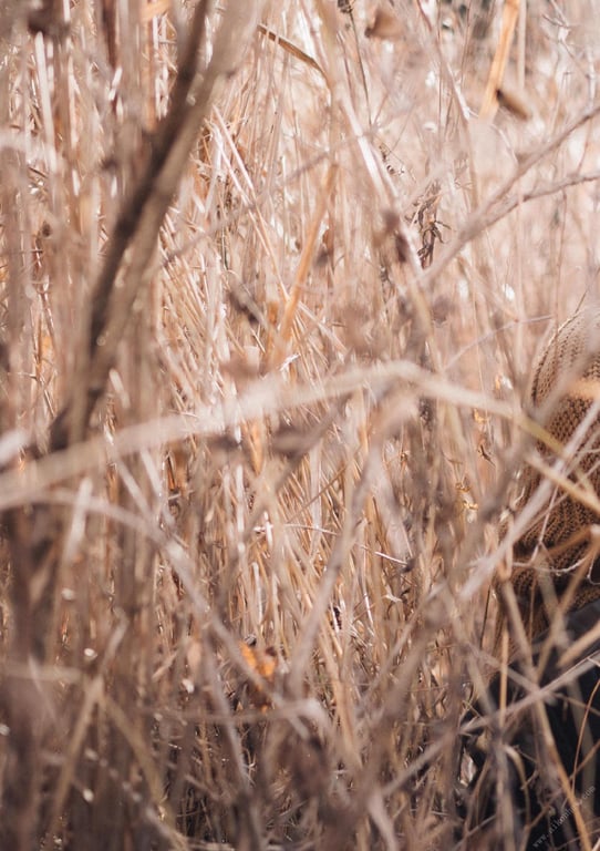 图片[192]-#白肌姫 【大河桃温泉写真集】 (Wunder_Publishing_House.) - 全本免费在线观看-阅图吧