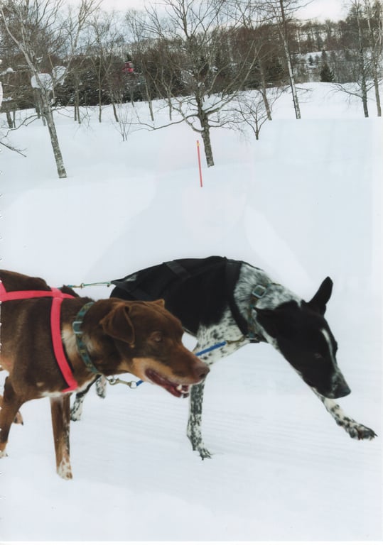 图片[93]-#NMB48本乡柚巴1st写真集 美丽的果实 - 全本免费在线观看-阅图吧